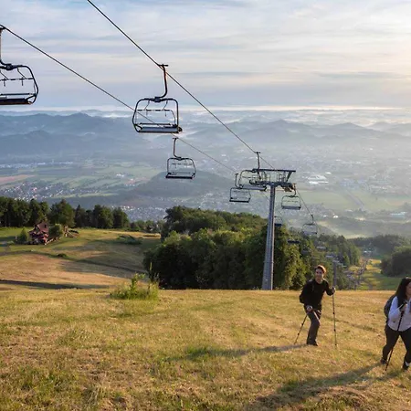 Bolfenk * Hocko Pohorje